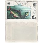 Польша 1979.04.26 (Mi)PL2617 марка из сер.100-летие спортивного рыболовства 90gr Европейский окунь (Perca fluviatilis) (г) (a1-16 ТОРГ/ВАША ЦЕНА