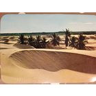 Венесуэла. Дюны