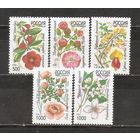 ФФ1 Россия 1997 Цветы