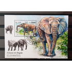 АНГОЛА 2018 ФАУНА животные млекопитающие  ПТИЦЫ РЫБЫ  БЛОК сто