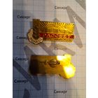 Значок колхоз "РАССВЕТ им К.П.Орловского" латунь (1 шт)