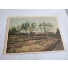 Открытка 1982г. А. Иванов. Оливы у кладбища в Альбано. Молодой месяц.