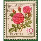Швейцария 1977. Роза