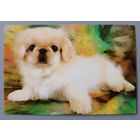 Собачка. Календарик, 2004