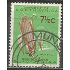 Южная Африка(Республика). Маис. 1961г. Mi#294.