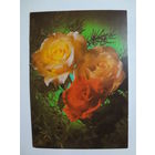 Календарик 1998 г. Еженедельная газета. Экспресс реклама. Розы.