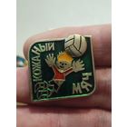 Кожаный мяч