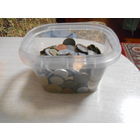 Монеты мира. 1.280 кг. Без России, Украины. Немного евроцентов, Есть повторы.