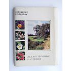 Экскурсия в природу. Лекарственные растения. Набор открыток 1977 года ( 25 шт. ) Н-26.