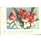 1966 год А.Шерстнёв С праздником!