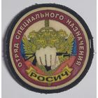 7-й ОСН ВВ МВД РФ "Росич". Создан в августе 1992 г.