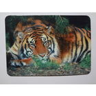 Календарик 1998 г. Нацыянальная эканамічная газета.