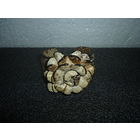 Браслет Кожа ПИТОНА