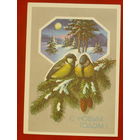 С новым годом! Чистая. 1990 года. Куртенко. 590.