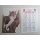 Карманный календарик.Кошки.1995 год