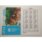 Карманный календарик. Телевизор Берёзка . 1987 год