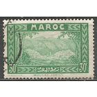 Французское Марокко. Мечеть Мулай Идрис. Пейзаж. 1933г. Mi#101.