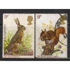 Великобритания 1977 EII Дикая природа Капский заяц Красная белка #746-7