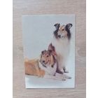 Календарик 1992