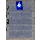 СССР, 1977,  КОНГРЕСС **ПО СУДОХОДСТВУ,  СИБИРЯКОВ  1м