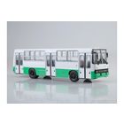 Наши Автобусы 25, Икарус-260.06 Яркое соло