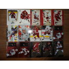 Хоккейные карточки.НХЛ.Arizona Coyotes-15 карт