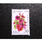 Марка Беларусь 2008 год Цветы