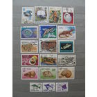 Продажа коллекции с 1 рубля! Фауна на почтовых марках мира.