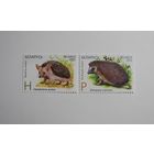 Маки Р. Ежи. Совместный выпуск. Беларусь-Казахстан. 2м.