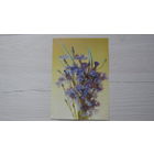 ОТКРЫТКА ЦВЕТЫ