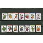 Беларусь 2020. Стандарт. Овощи. Самоклейка