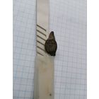 Перстень печать с двумя воинами.