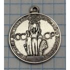 С 1 РУБЛЯ! МЕДАЛЬ ВДНХ ЗА УСПЕХИ В НАРОДНОМ ХОЗЯЙСТВЕ СССР СЕРЕБРО