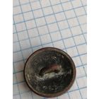 Пуговица польская. Латунь 007