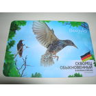 Календарик 2019 год Белавиа Птица Скворец Германия