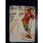 Календарик 2007 г.  Трансаэро.