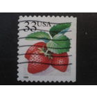 США 1999 стандарт, клубника