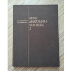 Синельников Р.Д. Атлас анатомии человека в 4-х томах. Том 2.