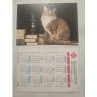 Карманный календарик. Котик.1994 год
