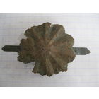 Киверная розетка.