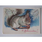 С новым годом! Белка  1981  худ. Достян.