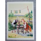 1955. Кузьмин. Лиса и журавль