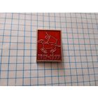 Значок 60 лет