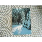 Открытка СССР 1988 год. Подписана. А.Пушкин .Состояние на скане.Тираж 0,65 млн.