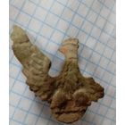 Польский орлик с закруткой на реставрацию.