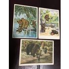 Масленникова.Трофимов.медведи.цена за все.