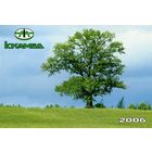 Календарик Медицина Искамед 2006