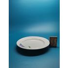 Тарелка СССР.