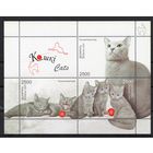 Беларусь 2009.  Фауна. Кошки блок (488)