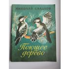 Н. Сладков Поющее дерево